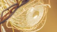 3-d rendering of human eye